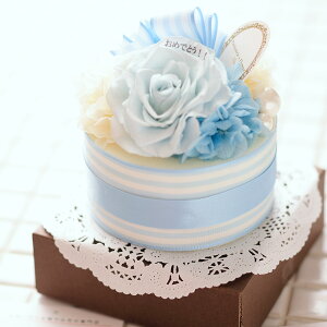 yzbZ[Wt[@z[P[Liu[jvU[uht[ C ͂Ȃ TvCY rbN  aj j  v[g 蕨 Sz bZ