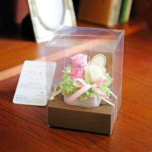 yzbZ[Wt[@pXeAWSisÑvU[uht[j C ͂Ȃ TvCY  aj j  v[g 蕨 Sz bZ[