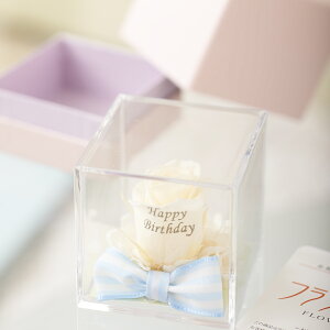 yzbZ[Wt[@NA{bNXAWizCgjvU^CvvU[uht[ KN o  aj j  v[g 蕨 Sz bZ