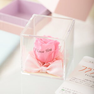 yzbZ[Wt[@NA{bNXAWisNjvU^CvvU[uht[ KN o  aj j  v[g 蕨 Sz bZ[