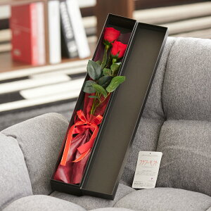 yzbZ[Wt[@bZ[W[Yibhj2 C ͂Ȃ TvCY  aj j  v[g 蕨 Sz bZ[WJ[h yMt