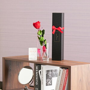 yzbZ[Wt[@_ChbZ[W[Y蕨 t[Mtg v[g j   bZ[WJ[h yMt aj j j J