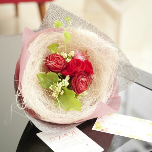 yzvU[uht[ƑԁiA[eBtBVt[jőgݗĂčԑ쐬Lbga o[Xf[ oY  ސE  җ Ê  P Ď  