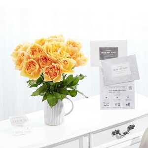 yzmICMtgiVo[R[XjZbgnԕrt[Et[x[X@AeB[NWOiVO/j@IWo12{KN ΂ [Y MtgJ^O c