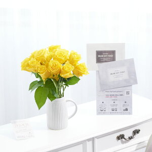 yzmICMtgiS[hR[XjZbgnԕrt[Et[x[X@AeB[NWOiVO/j@Fo12{KN ΂ [Y MtgJ^O c