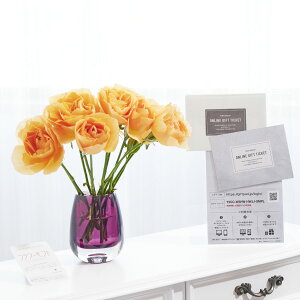 yzmICMtgiv`iR[XjZbgnԕrt[Et[x[X@I[oij@IWo12{  KN ΂ [Y MtgJ^O c _