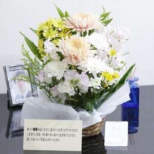 菊 生花の人気商品 通販 価格比較 価格 Com
