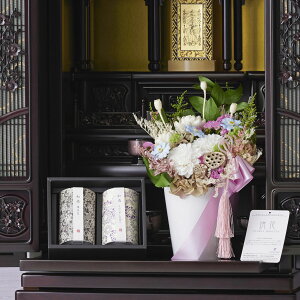 yzԁ@vU[uht[@fUCi[Ydԃ_AiLTCYjƘa_uaVi䂤j-x_[̍ƔY-ṽZbgnhCh  ݉  