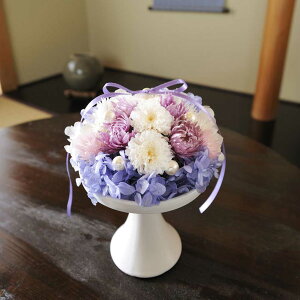 yzԁ@vU[uht[@STCYip[vzCgnjX^CbV nhCh fUCi[Yt[  ݉   d t[Mtg S