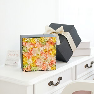 fUCi[Y@vU[uht[@GKgboxiAWTCEEH[J[j~J ~ fUCi[  i nCZX IV Ci v[g 蕨 Sz  bZ