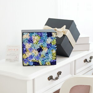 fUCi[Y@vU[uht[@GKgboxiAWTCEN[J[j~J ~ fUCi[  i nCZX IV Ci v[g 蕨 Sz  bZ[