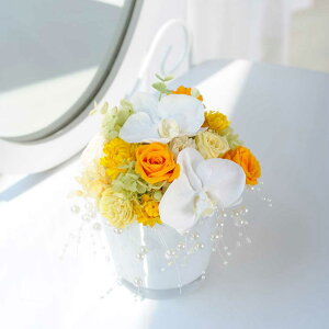 yzvU[uht[@ӒLuster PearlfUCi[ fUCi[Yt[ AWgt[ nhCh  aj j  v[g 蕨 Sz