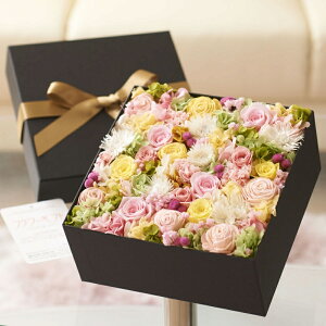 yzvU[uht[@OWA[BOX@pXeisweet&dreamyjfUCi[ fUCi[Yt[ AWgt[ nhCh  aj j  v