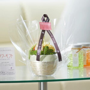 yzvU[uht[@۔iCG[jfUCi[Y nhCh  a  oY  ސE Vz JX J ړ] AC  v[g 蕨 Sz bZ[W