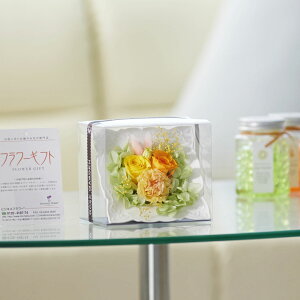 yzvU[uht[@fBbV^Cvt[STCYiCG[jAWgt[ nhCh  aj j A[eBtBVt[  v