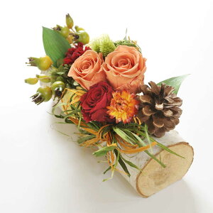 yzvU[uht[@̎fUCi[ fUCi[Yt[ AWgt[ nhCh  aj j  v[g 蕨 Sz bZ