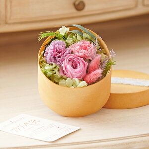 vU[uht[@i`EhBOXiXpCV[sNjfUCi[  i nCZX IV Ci v[g 蕨 Sz  bZ[WJ[h