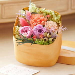 vU[uht[@i`EhXNGABOXiXpCV[sNjfUCi[  i nCZX IV Ci v[g 蕨 Sz  bZ[WJ[h