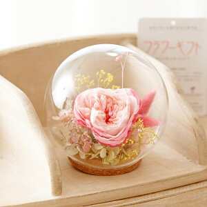 vU[uht[@KXh[isNEoCJ[jfUCi[  i nCZX IV Ci v[g 蕨 Sz  bZ[WJ[h