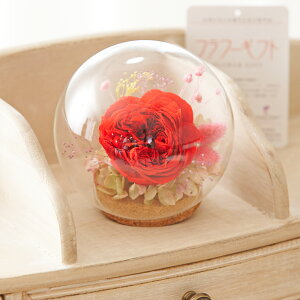 vU[uht[@KXh[irrbhbhjfUCi[  i nCZX IV Ci v[g 蕨 Sz  bZ[WJ[h