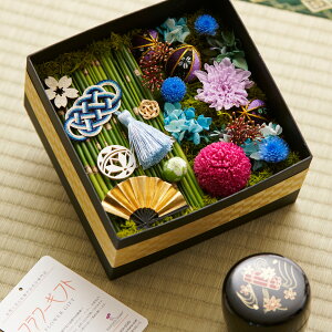 yzvU[uht[@a_BOX@S㇗iu[Ep[vnjj fUCi[Y i CeA  t t[Mtg  v[g 蕨 Sz 