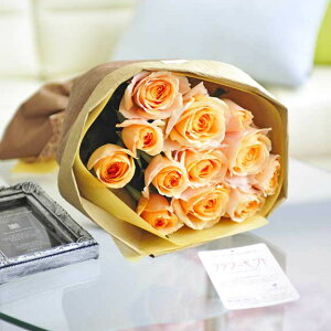 cт̃o_zIԑEu[P@Iׂ6F@o12{a j j Vzj ސEj uC_ EFfBO  蕨 t[Mtg v[g