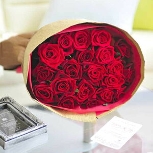 ԑEu[P@o20{ Iׂ6Fa j j Vzj ސEj uC_ EFfBO  蕨 t[Mtg v[g j   bZ[WJ[h