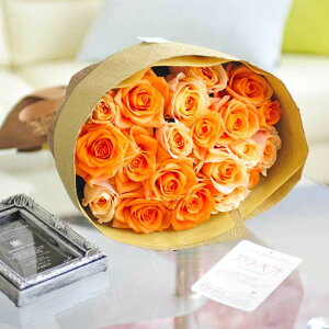 ԑEu[P@o20{ Iׂ6Fa j j Vzj ސEj uC_ EFfBO  蕨 t[Mtg v[g j   bZ[WJ[h