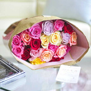 ԑEu[P@o20{ Iׂ6Fa j j Vzj ސEj uC_ EFfBO  蕨 t[Mtg v[g j   bZ[WJ[h