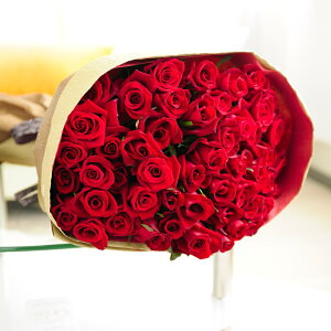 cт̃o_zIԑEu[P@Iׂ6F@o50{a j j Vzj ސEj uC_ EFfBO  蕨 t[Mtg v[g