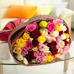 cт̃o_zIԑEu[P@Iׂ6F@o50{a j j Vzj ސEj uC_ EFfBO  蕨 t[Mtg v[g