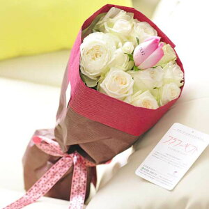 ybZ[WzԑEu[P@o12{@cт̃o_za j JXj ACj j Vzj zj ސEj 蕨 t[Mtg v