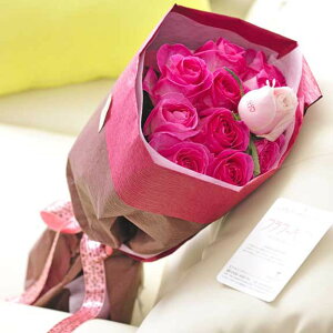 ybZ[WzԑEu[P@sNo12{@cт̃o_za j JXj ACj j Vzj zj ސEj 蕨 t[Mt