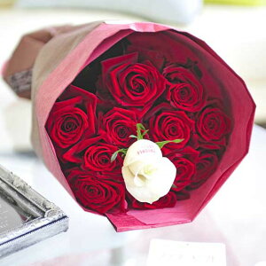 ybZ[WzԑEu[P@ԃo12{@cт̃o_za j JXj ACj j Vzj zj ސEj 蕨 t[Mtg v