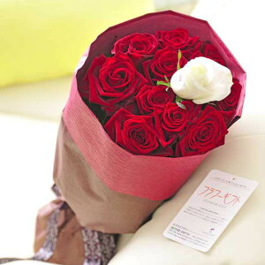 ybZ[WzԑEu[P@ԃo12{@cт̃o_za j JXj ACj j Vzj zj ސEj 蕨 t[Mtg v