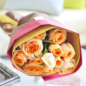 ybZ[WzԑEu[P@IWo12{@cт̃o_za j JXj ACj j Vzj zj ސEj 蕨 t[M