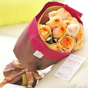 ybZ[WzԑEu[P@IWo12{@cт̃o_za j JXj ACj j Vzj zj ސEj 蕨 t[M