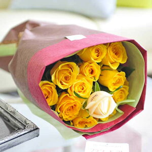 ybZ[WzԑEu[P@Fo12{@cт̃o_za j JXj ACj j Vzj zj ސEj 蕨 t[Mtg 