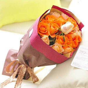 ybZ[WzԑEu[P@IWo20{@cт̃o_za j JXj ACj j Vzj zj ސEj 蕨 t[M