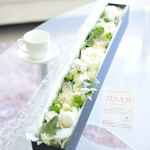 AWgt[@[YBOXiN^OEoja j j Vzj JXj ސEj 蕨 t[Mtg v[g j   bZ[WJ