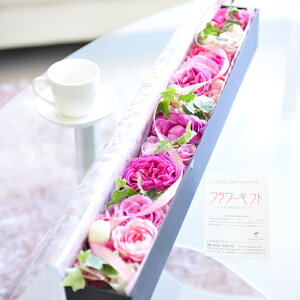 AWgt[@[YBOXiN^OEsNoja j j Vzj JXj ސEj 蕨 t[Mtg v[g j   bZ[