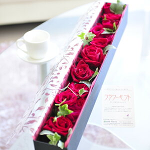 AWgt[@[YBOXiN^OEԃoja j j Vzj JXj ސEj 蕨 t[Mtg v[g j   bZ[WJ