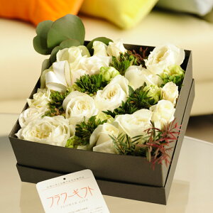 AWgt[@[YBOXiXNGAEoja j j Vzj JXj ސEj 蕨 t[Mtg v[g j   bZ[WJ[h