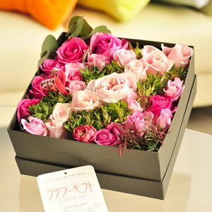 AWgt[@[YBOXiXNGAEsNoja j j Vzj JXj ސEj 蕨 t[Mtg v[g j   bZ[WJ