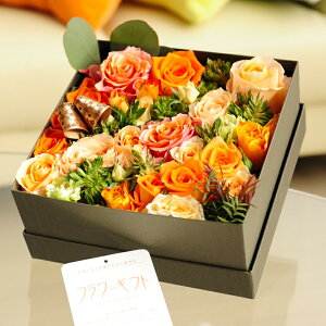 AWgt[@[YBOXiXNGAEIWoja j j Vzj JXj ސEj 蕨 t[Mtg v[g j   bZ[W