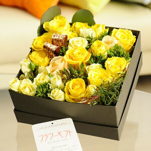 AWgt[@[YBOXiXNGAEFoja j j Vzj JXj ސEj 蕨 t[Mtg v[g j   bZ[WJ[