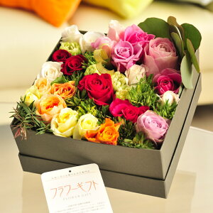 AWgt[@[YBOXiXNGAE~bNXoja j j Vzj JXj ސEj 蕨 t[Mtg v[g j   bZ[W