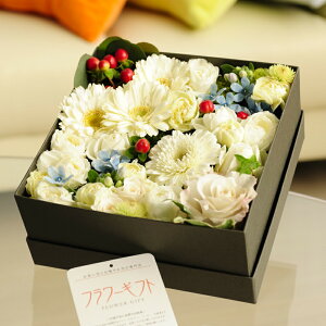 AWgt[@~bNX[YBOXiXNGAEna j j Vzj JXj ސEj 蕨 t[Mtg v[g j   bZ[WJ