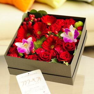 AWgt[@~bNX[YBOXiXNGAEԌnja j j Vzj JXj ސEj 蕨 t[Mtg v[g j   bZ[W