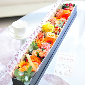 ybZ[Wz[YBOXiN^OEIWojcт̃o_za j JXj ACj Vzj zj ސEj 蕨 t[Mt